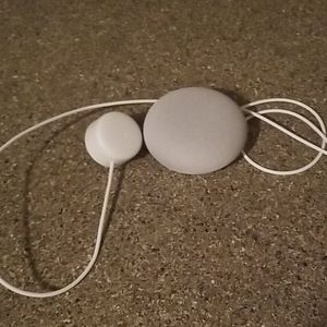 Google Nest Mini